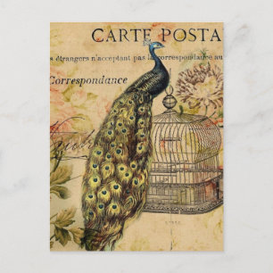 art nouveau vintage peacock fransk vykort