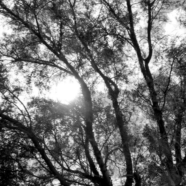 ART- OCH DESIGN-nyckelkedja Rund Silverfärgad Nyckelring (ART AND DESIGN ECO STYLE )