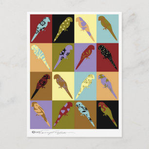 Art: Parrot Koffiltpresenter Vykort