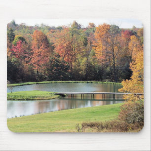 ART: POND OCH SKOGEN MUSMATTA