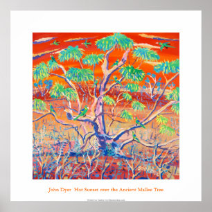 Art Poster: Banrock Station Sunset Mallee Träd Poster
