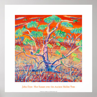 Art Poster: Banrock Station Sunset Mallee Träd Poster