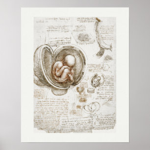 ART POSTER: LEONARDO DA VINCI: STUDIE 1510-1513 POSTER