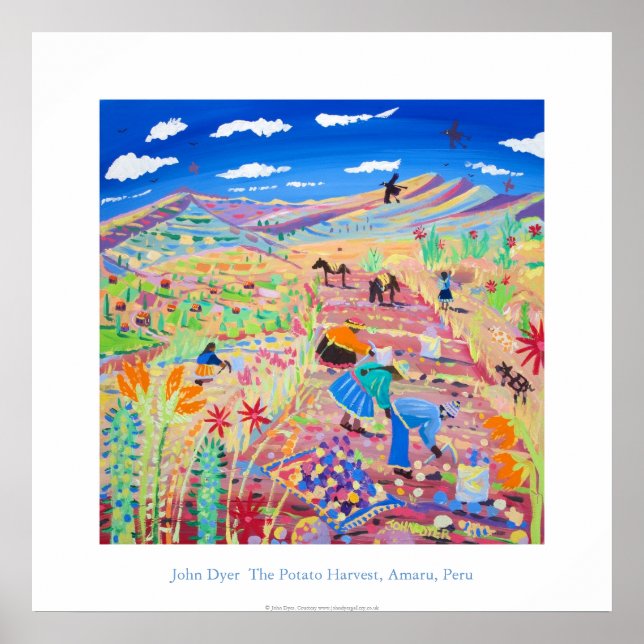 Art Poster: Potatisskörden, Amaru, Peru Poster (Framsidan)