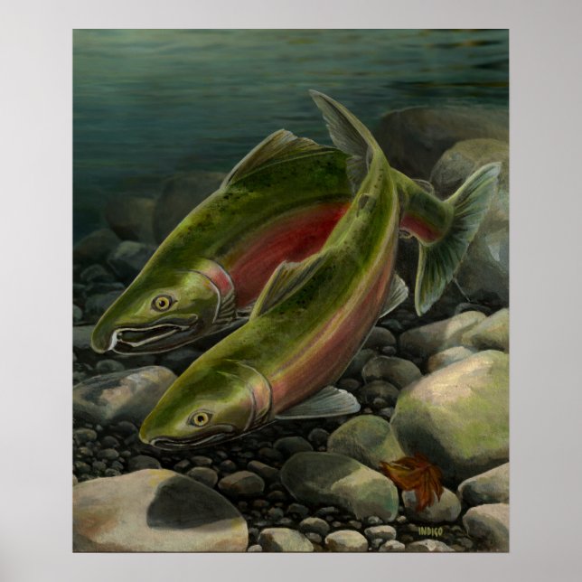 Art Poster utskrift av Coho Salmon Fishing Art (Framsidan)