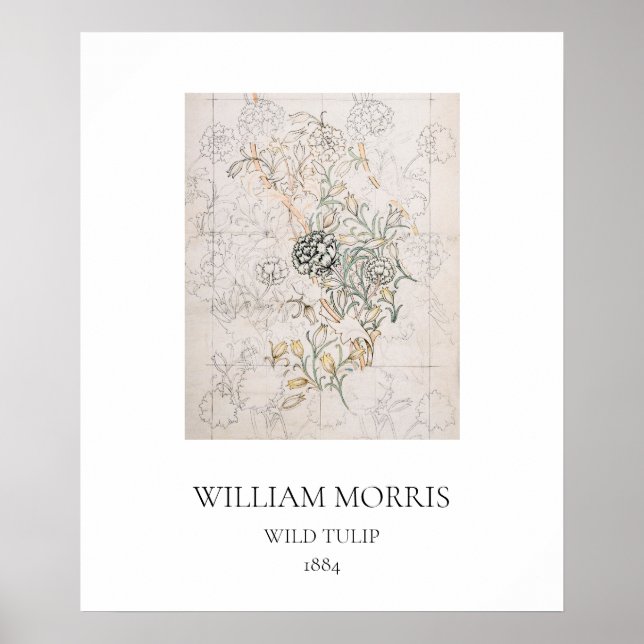 ART POSTER: WILLIAM MORRIS : VILD TULIP : 1884 POSTER (Framsidan)
