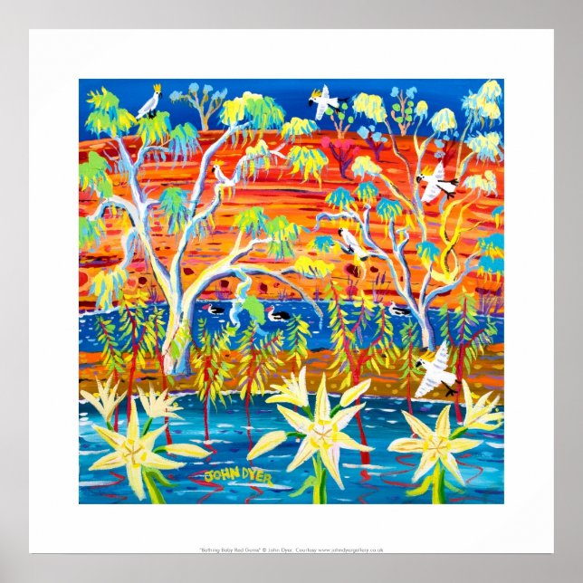 Art Print: Bathing Baby Red Gums, Banrock Station Poster (Framsidan)