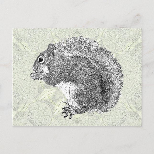 Art Squirrel Vykort (Framsida)
