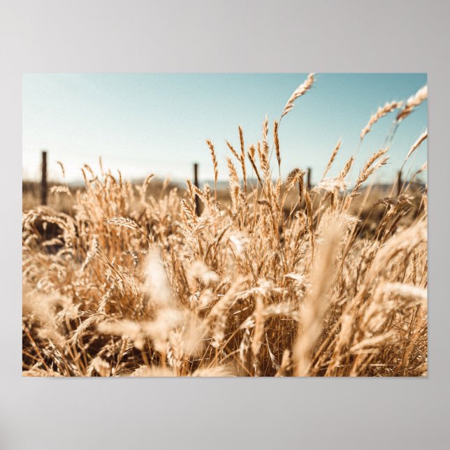 Art & Wall Décor > Poster och skriver ut (Framsidan)