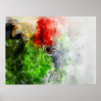 Art Watercolor Parrot Grönt Parakeet Gift Poster
