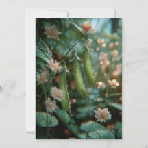 Ärta i baljan | Söta groddar