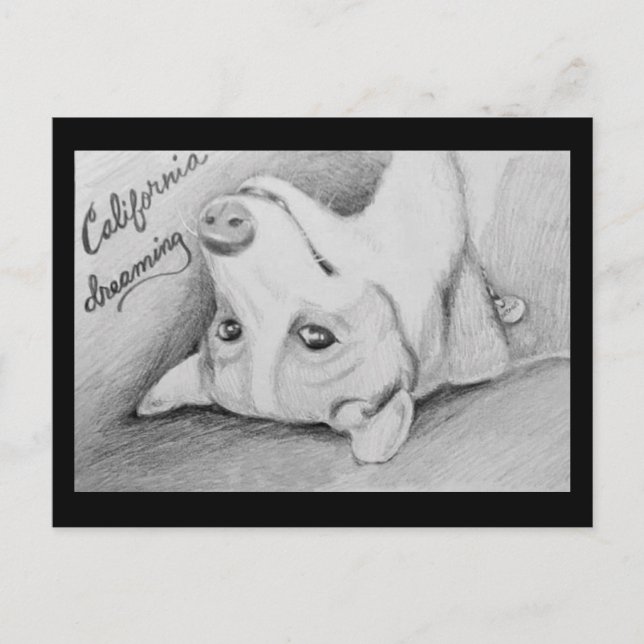 Artaius the Corgi Vykort (Framsida)