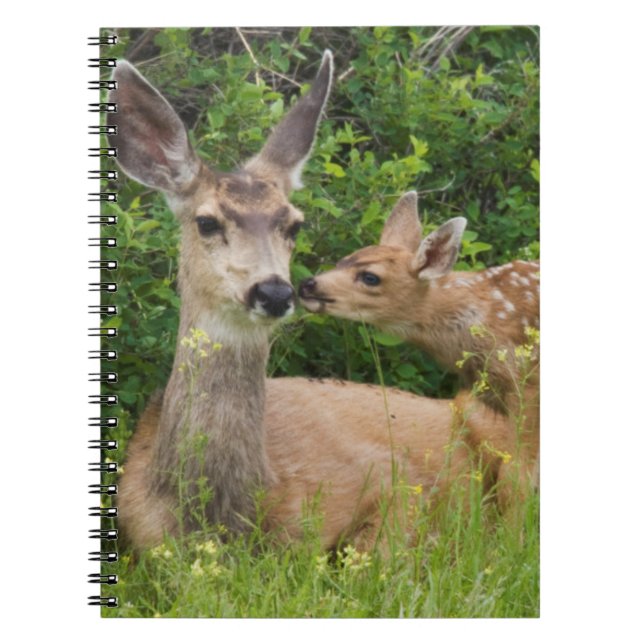 Årtaliga dovhjort med kalv anteckningsbok med spiral (Framsidan)