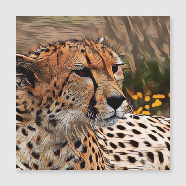 ArtAnimal Cheetah (Framsida)
