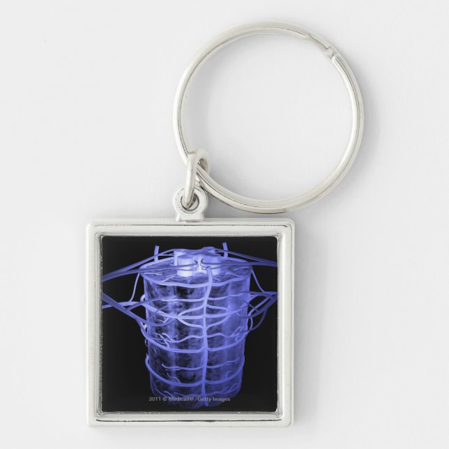 Artärer som omger del av den ryggrads- kolonnen fyrkantig silverfärgad nyckelring (Framsidan)