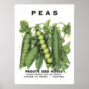 Ärtavintage kärnar ur paketet poster