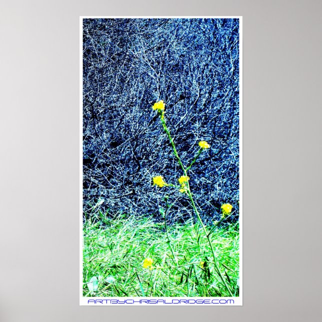 ARTBYCHRISALDRIDGE.COM poster nr 2 (Framsidan)