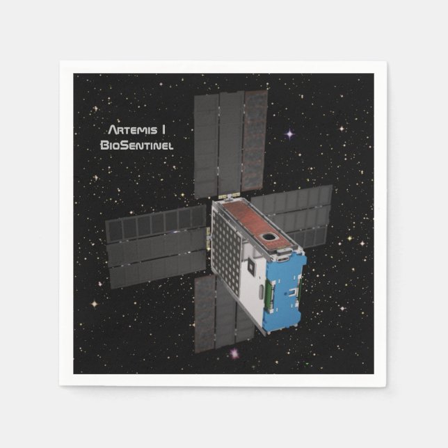 Artemis BioSentinel CubeSat Pappersservett (Framsidan)
