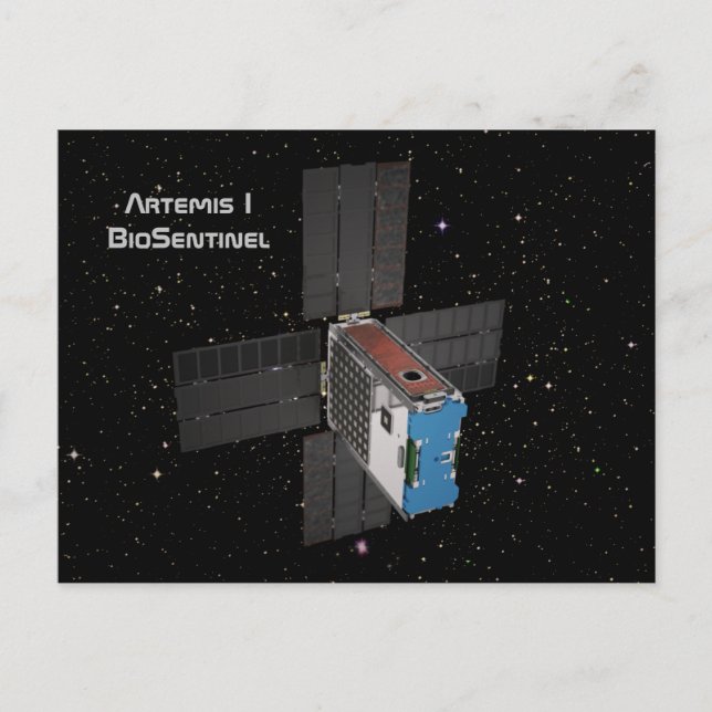 Artemis BioSentinel CubeSat Vykort (Framsida)