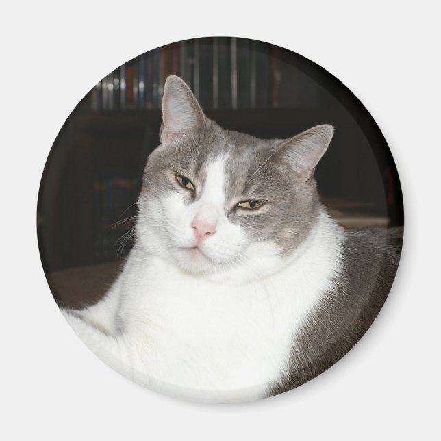 Artemis Magnet (Framsidan)