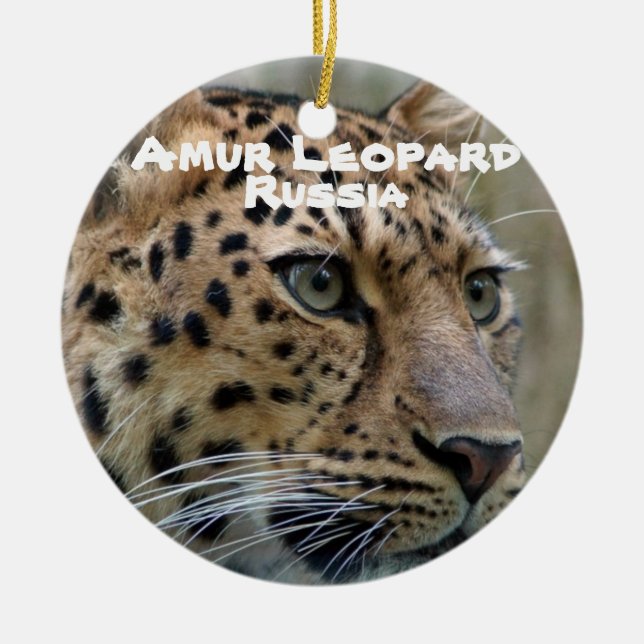 Arter i serien Amur Leopard Julgransprydnad Keramik (Framsidan)