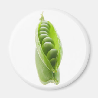 ärter pod i spegel magnet