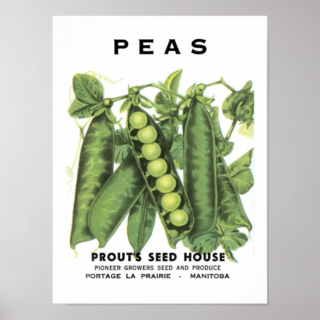 Ärter Vintage Seed Packet Poster (Framsidan)