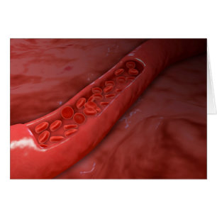 Artery Kor sektion med rött blodflöde Hälsningskort