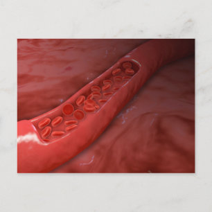 Artery Kor sektion med rött blodflöde Vykort