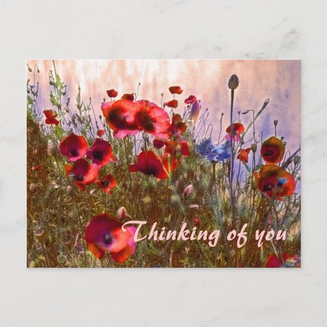 Artetiska poppies! vykort (Framsida)