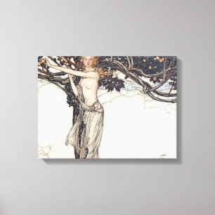 Arthur Rackham Freya The Fair One Canvastryck