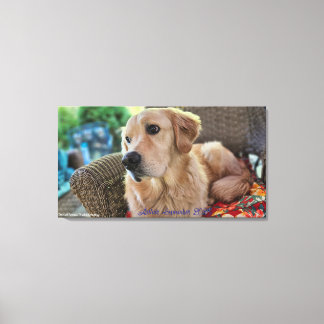 Arthur, September 2025 Canvastryck