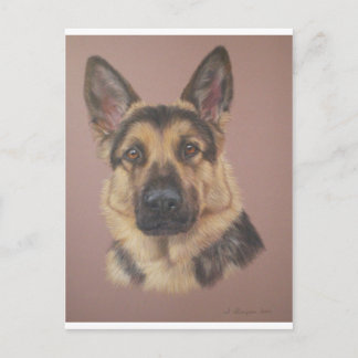 Arthur - Tyska shepherd Vykort