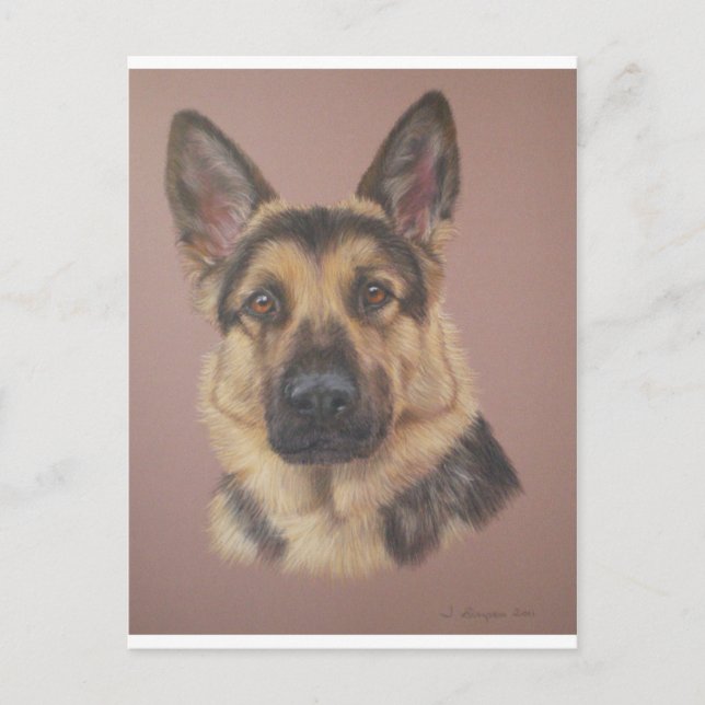 Arthur - Tyska shepherd Vykort (Framsida)
