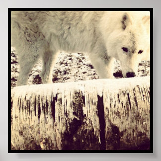 Arthur Vargen Poster