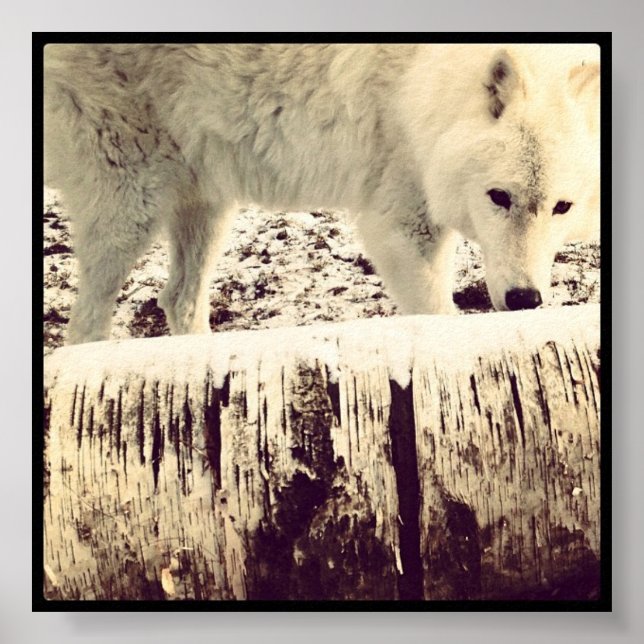 Arthur Vargen Poster (Framsidan)