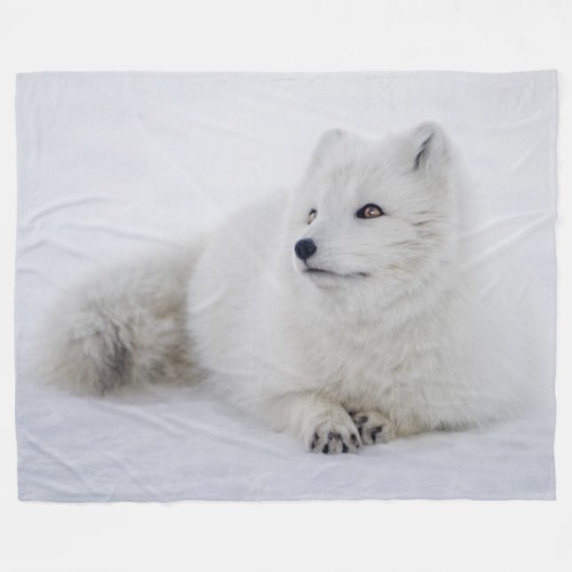 ARTIC FOX FLEECEFILT (Framsidan (Horisontell))