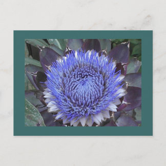 Artichoke Bloom-vykort Vykort
