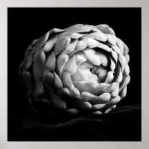 Artichoke Close Up Black and White Photography