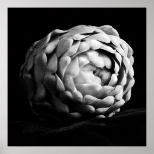 Artichoke Close Up Black and White Photography Poster