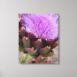 Artichoke - Colorado Star Canvastryck