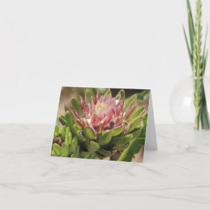 Artichoke Flower Photo Folant Note Card Anteckningskort
