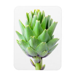 Artichoke Magnet