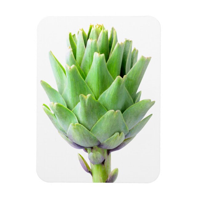 Artichoke Magnet (Vertikal)