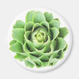 Artichoke Magnet