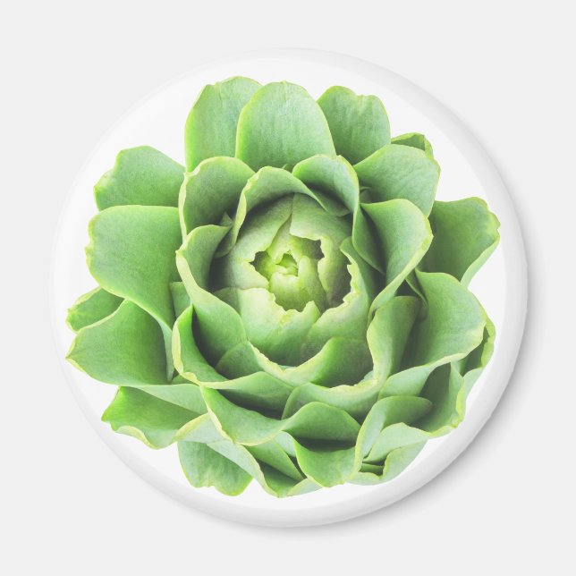 Artichoke Magnet (Framsidan)