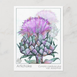 Artichoke Materia Medica Cards Herbal Studants Vykort