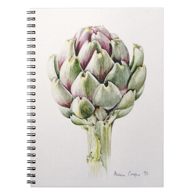 Artichoke-studie 1993 anteckningsbok (Framsidan)