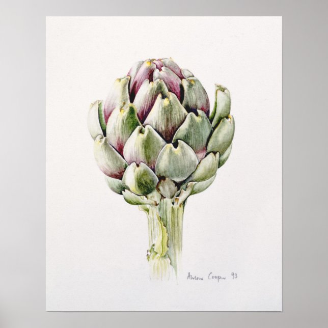 Artichoke Study 1993 Poster (Framsidan)