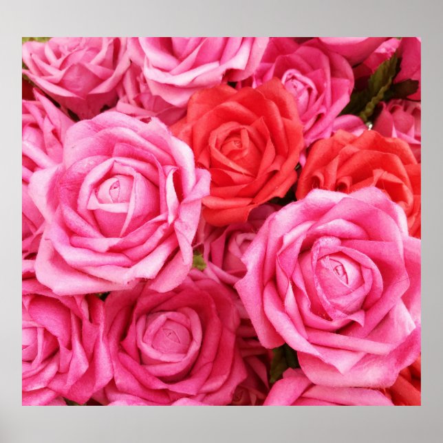 Artificiellt stängda Röd ros-bakgrund Poster (Framsidan)